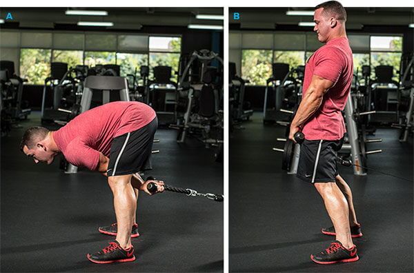 5 bài tập gym giúp chân bạn vừa to vừa có cơ bắp săn chắc 1