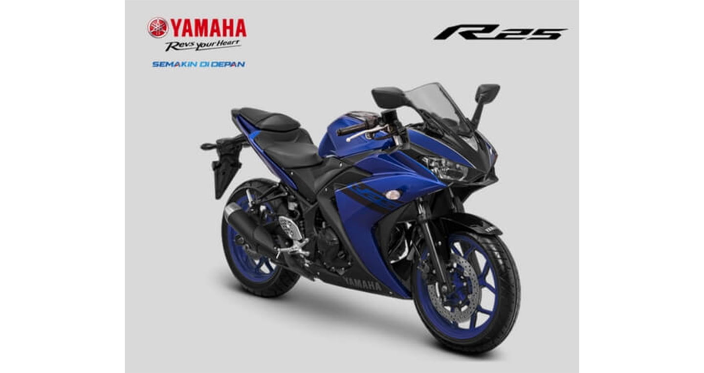 Yamaha YZF R25 2