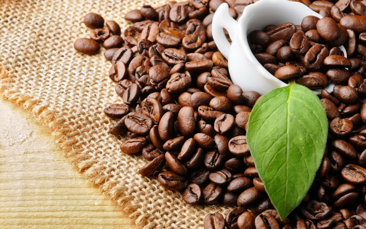 Giá cà phê hôm nay 2712018 Lại giảm dưới mốc 37.000 đồngkg 2