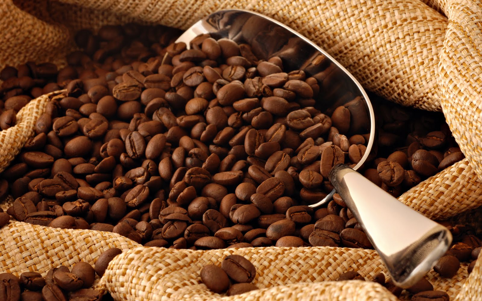 Giá cà phê hôm nay 2012018 hết tăng lại giảm tới 400 đồngkg 1